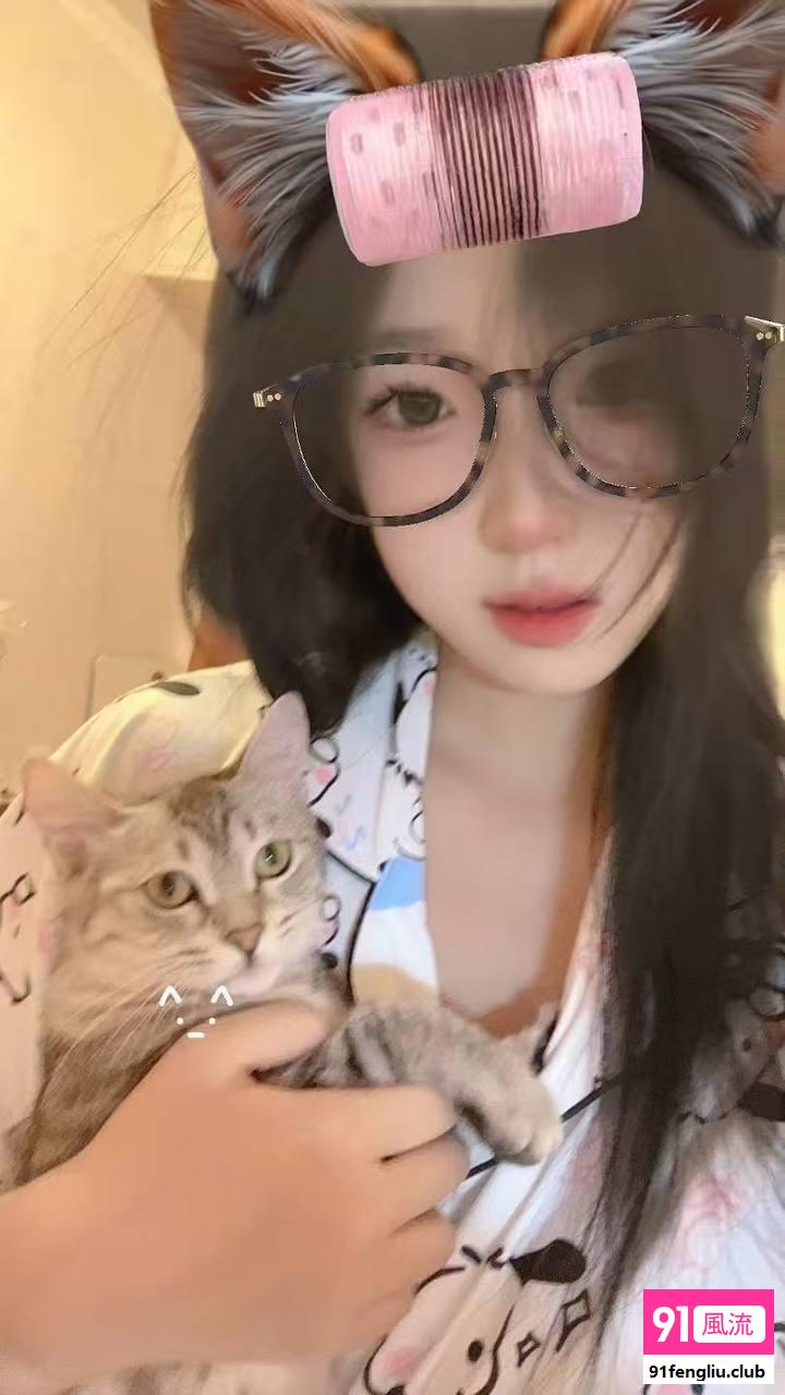 湖州小野猫